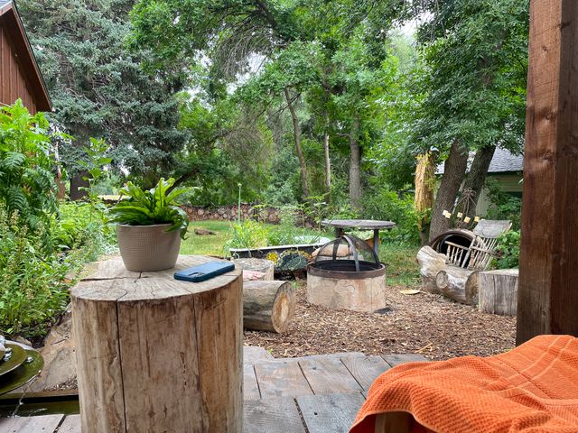 View from the porch --
a chair draped in orange,
a stump with potted plant and cell phone,
a fire circle,
a log with a rocking-chair back,
a house to one side,
open yard, trees,
and stacked wood fence.